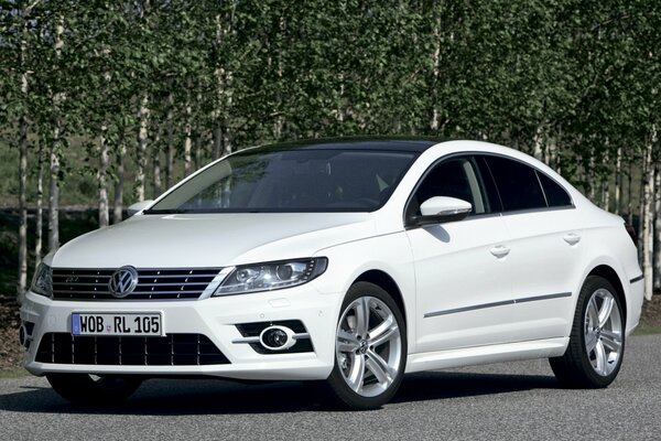 Volkswagen blanc sur fond de bouleau