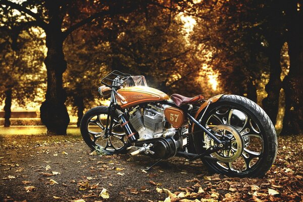 Moto debout dans le parc, au milieu des arbres