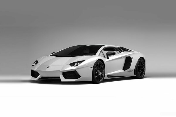 Weißer Lamborghini aventador lp700-4 auf grauem Hintergrund