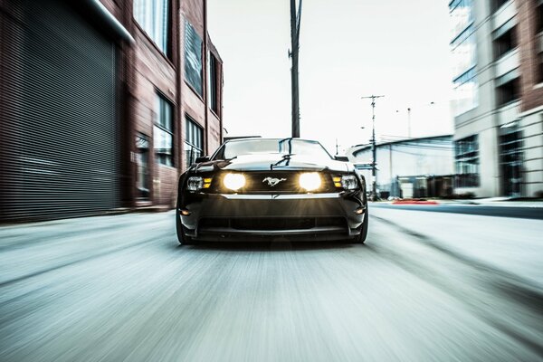 Mustang corriendo por el barrio de la ciudad