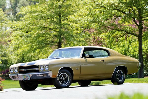 Viejo muscle Car Chevrolet SS en el fondo de la naturaleza