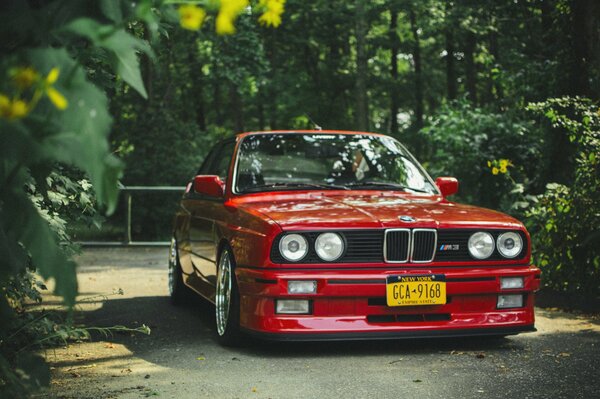 Roter BMW im grünen Wald