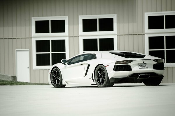 Lamborghini blanco en el fondo del edificio