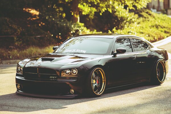 Dodge cargado en la pista verde