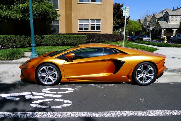 Lamborghini giallo Aventador di profilo sul prato