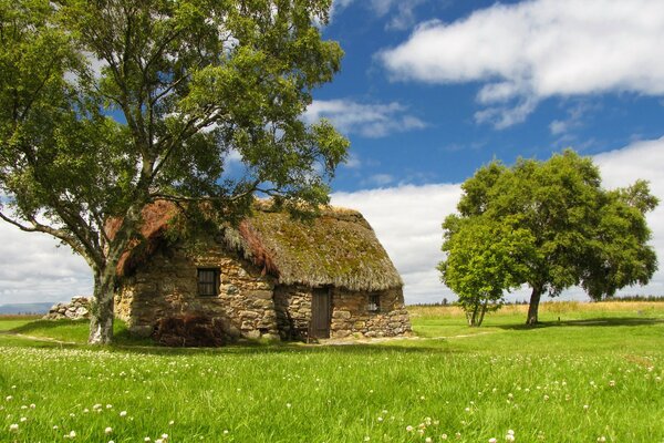 An old house in a green field