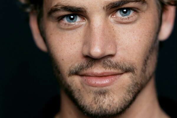 Portrait photo of paul walker