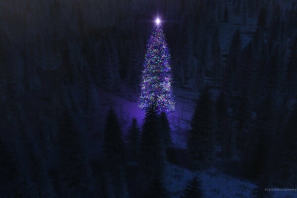 Christmas tree with lights at night in a dark forest