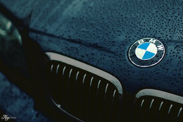 bmw car logo on the hood with raindrops