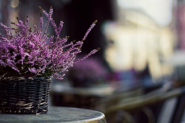 Panier avec des fleurs sur fond flou