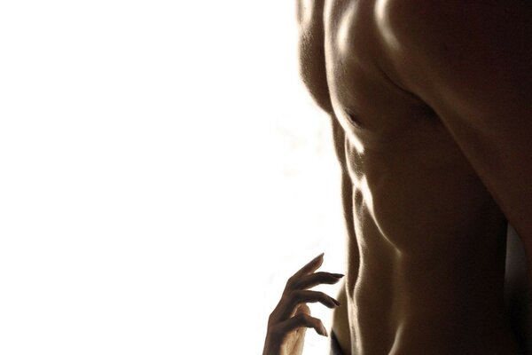 Man. Torso. erotic photos