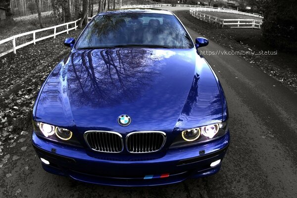 Красивое синее BMW в осеннем парке
