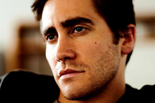 Il meditabondo Jake Gyllenhaal con le setole