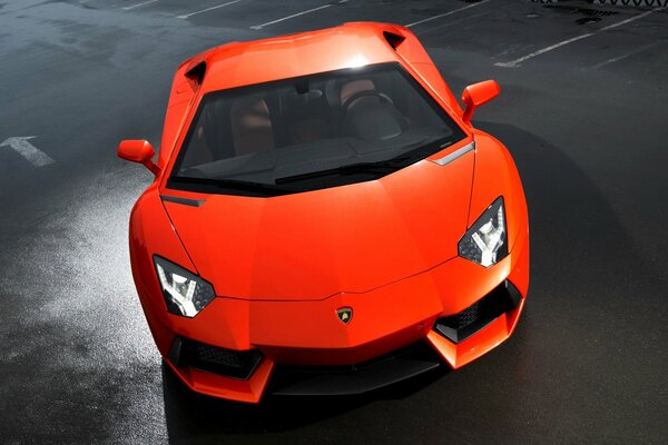 Der aventador lp700-4 ist ein giftiger orangefarbener Sportwagen