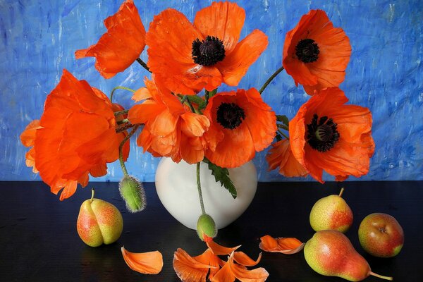 Beautiful bright poppies in a vase on a blue background