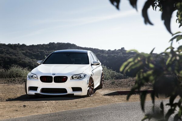 Hermoso blanco BMW en el fondo de la naturaleza