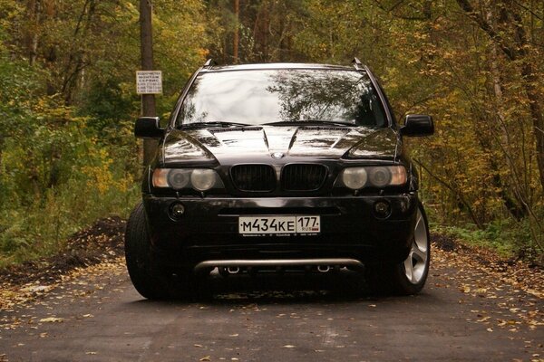 BMW jesienią w lesie stoi na drodze