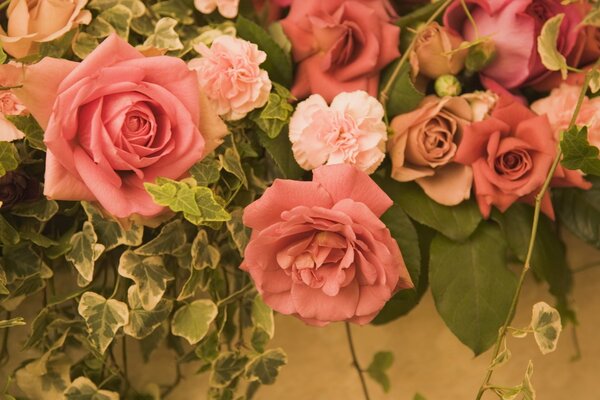 Beautiful pink curly roses