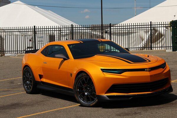 Orange Chevrolet Camaro ist die Nummer eins unter Sportwagen-Autos