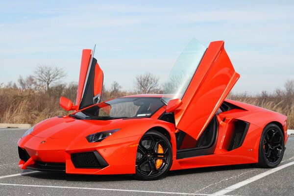 A chic car with doors opening up