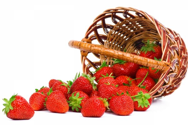 Panier en osier renversé avec des fraises