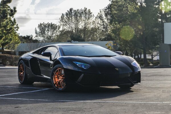 Photo shoot with a cool black car