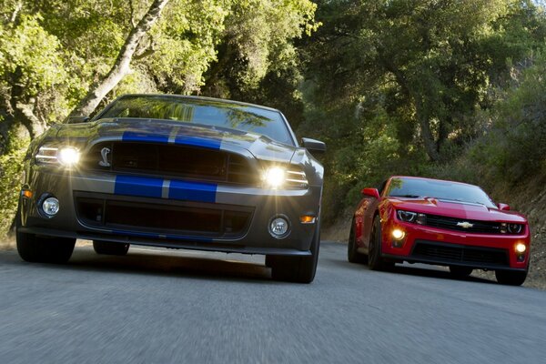 Ford Mustang en course sur piste