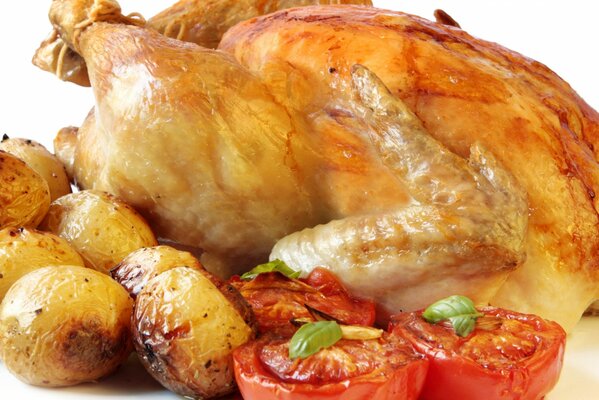 Pollo appetitoso al forno con patate e pomodori