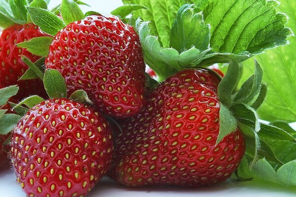 Red Strawberry close-up