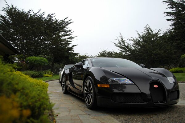 Photo of a black bugatti veyron in the park