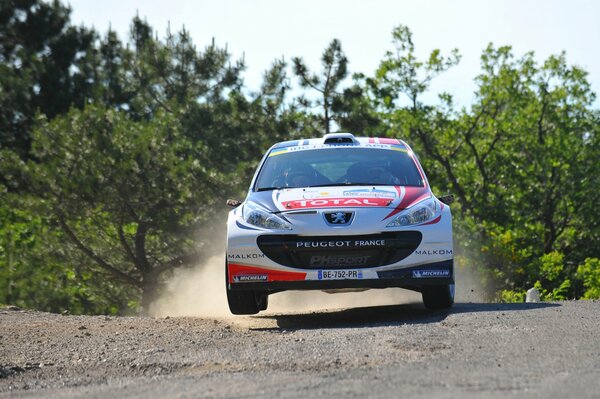 Peugeot blanc pendant la course de rallye