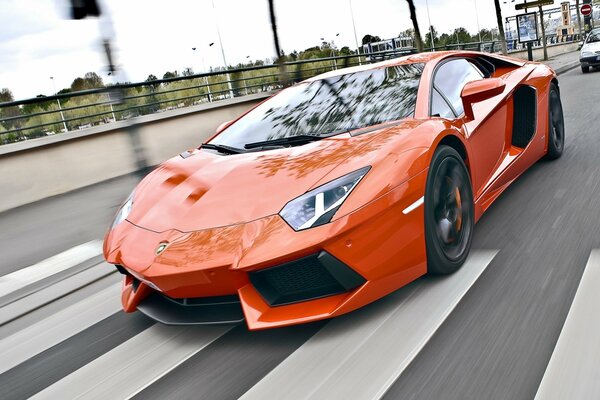 A racing Lamborghini cuts through the city expanses