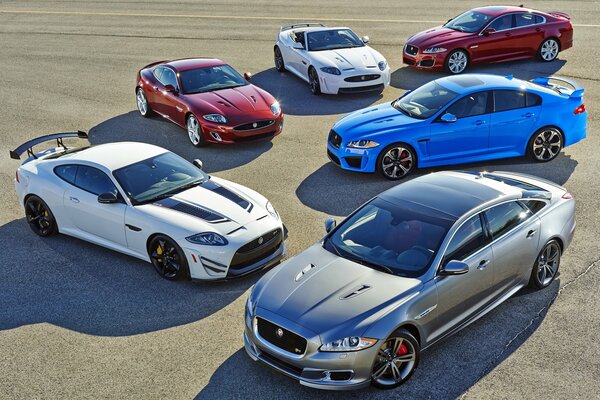 Y aquí se reunieron los seis autos número uno de las marcas más famosas