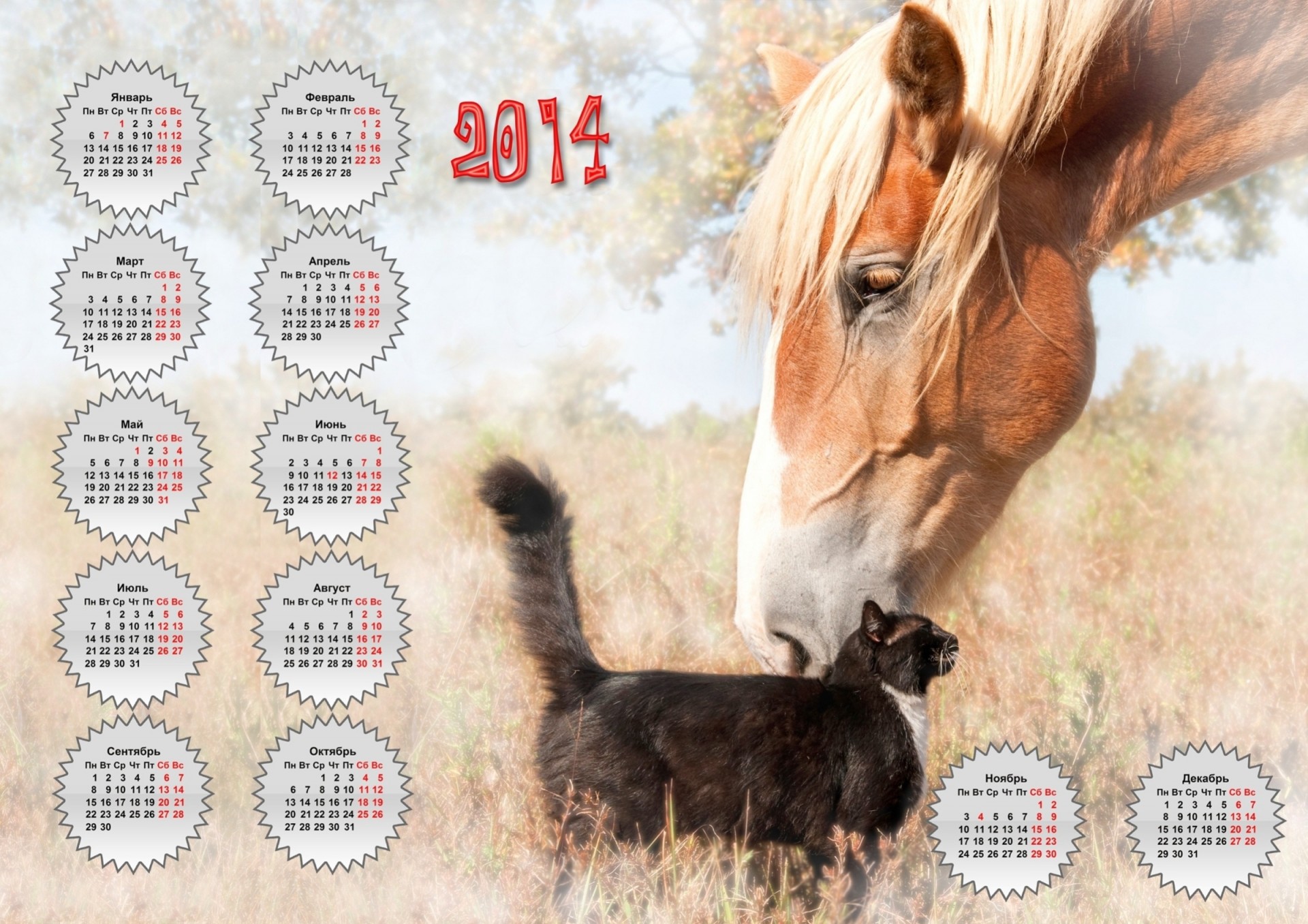 amis calendrier chat cheval 2014