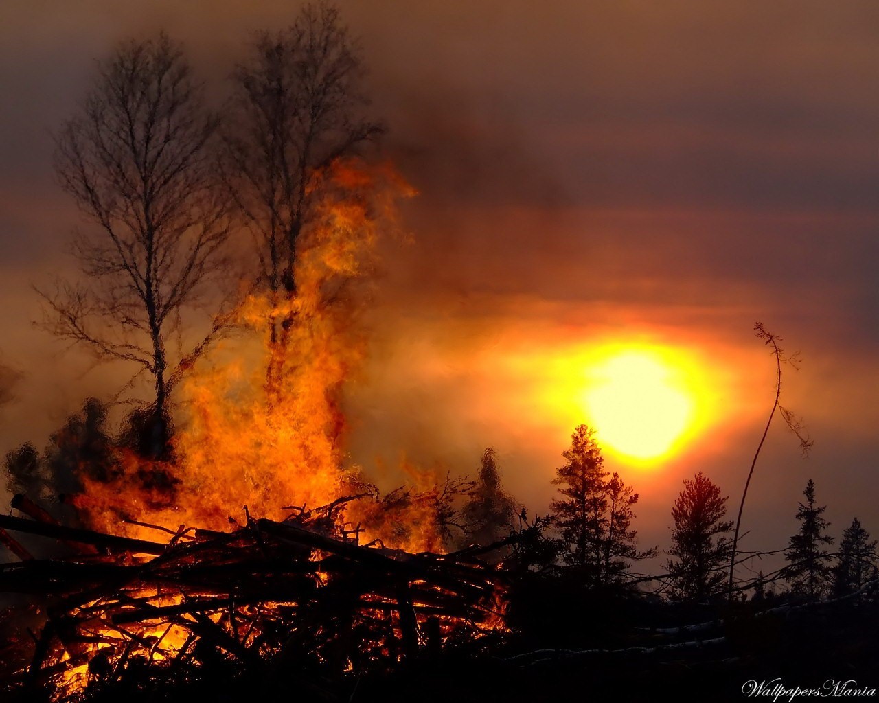 feuer feuer sonne