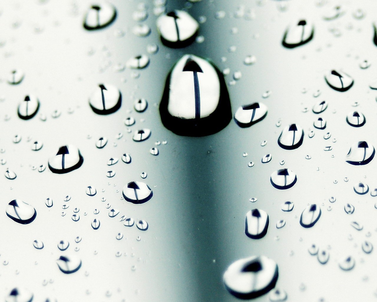 gotas macro estilo