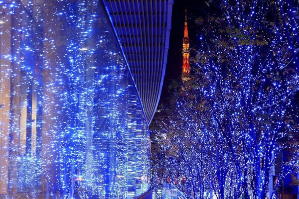 Hermosos árboles azules iluminados por la noche