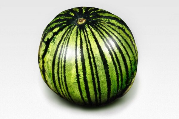 Minimalistic image of striped watermelon