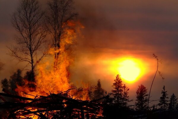 La flamme du feu brûle. Coucher de soleil