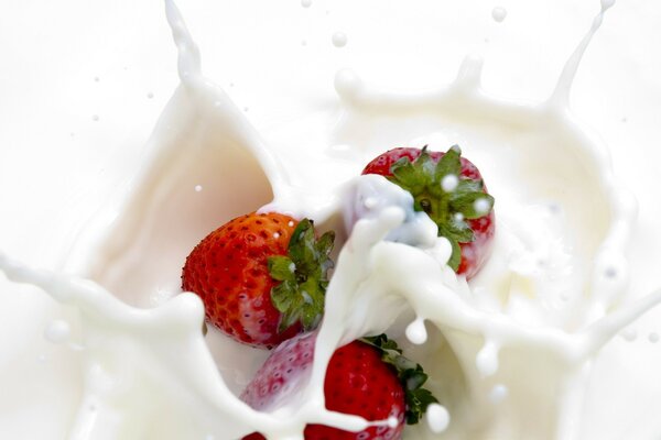 Strawberries in cream. Splashes of pleasure