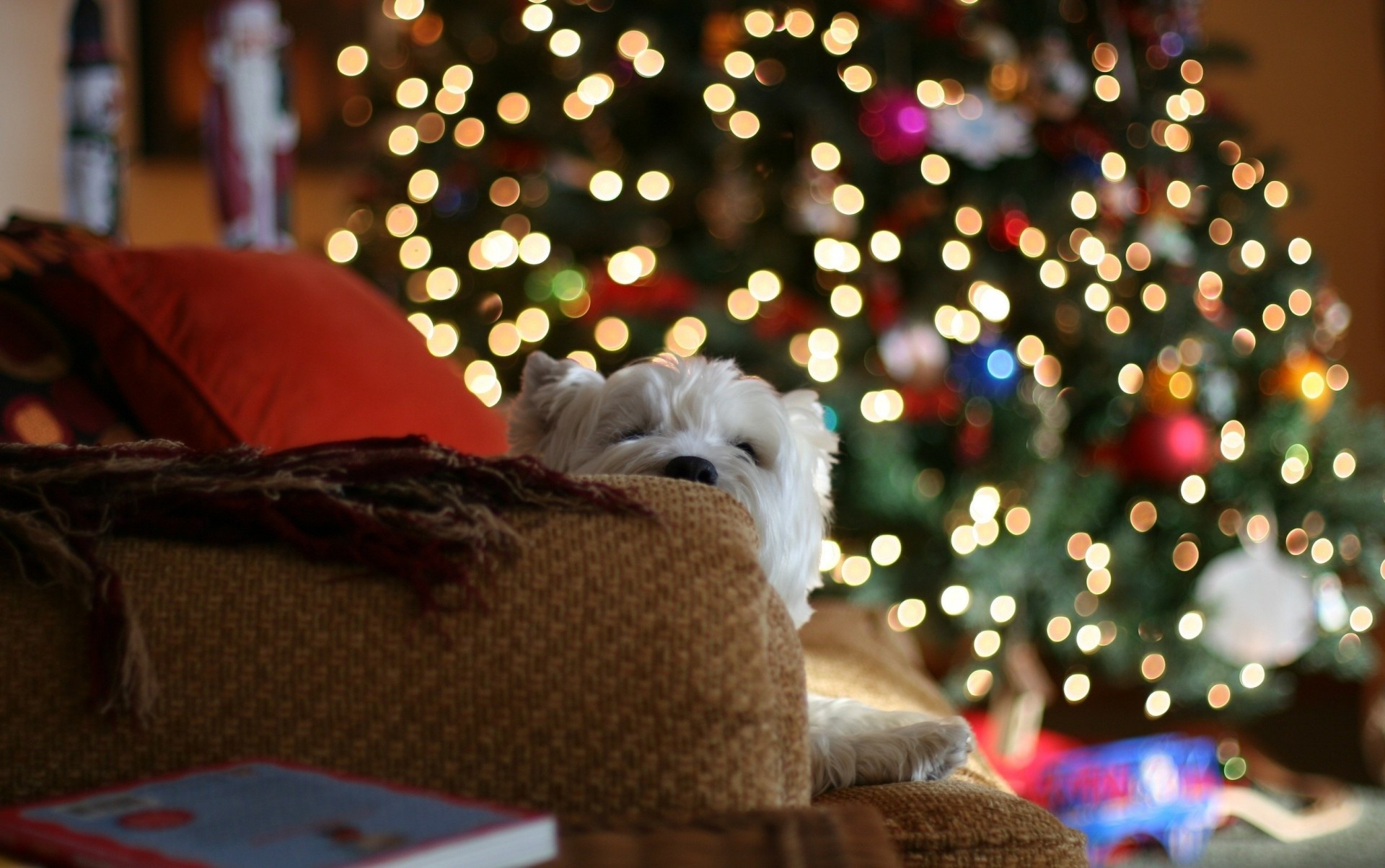 luces árbol de navidad sofá casa estado de ánimo mantas almohadas