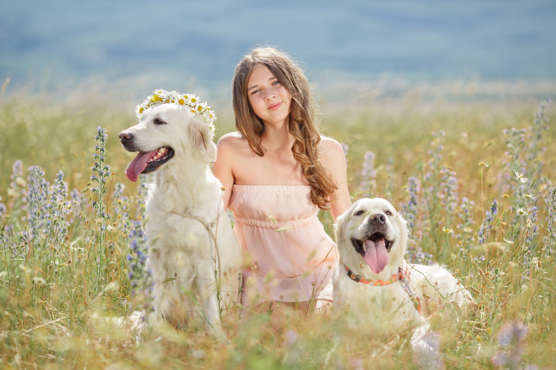 chica flores pelo castaño perros corona