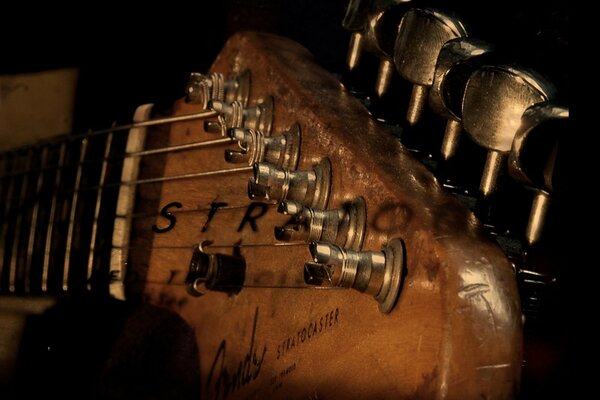 Corde di chitarra e Pioli. Primo piano