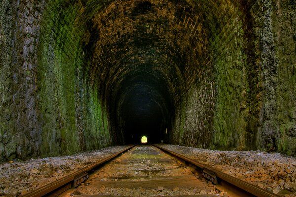 Tunnel envahi par la végétation avec rails et lumière à l avant