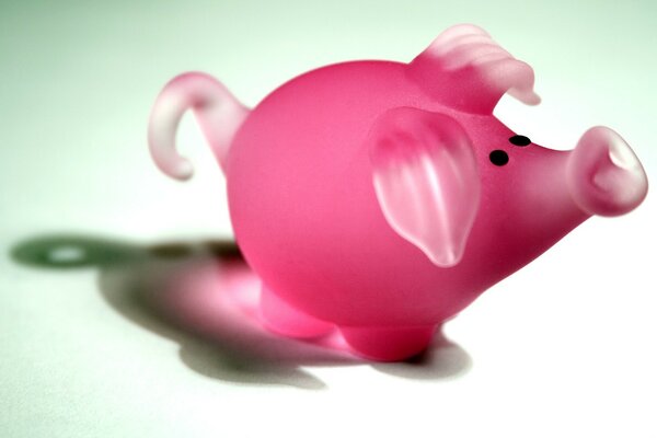 Pink piggy bank for saving money