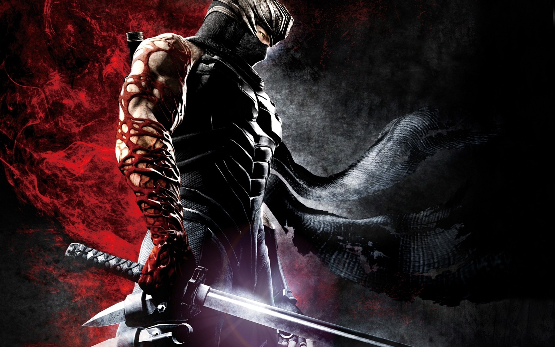 ninja gaiden armi azione slasher anime guerrieri ninja fantasia katana sangue