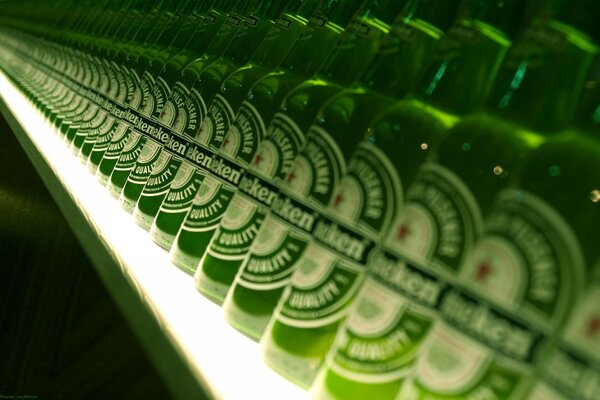 Beer bottles stand in a row