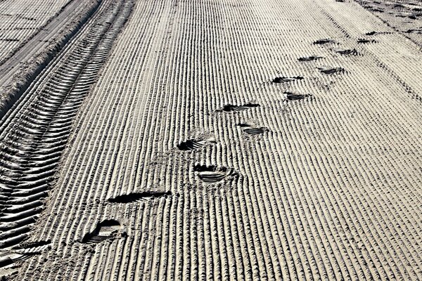 Traces sur la bande frontalière