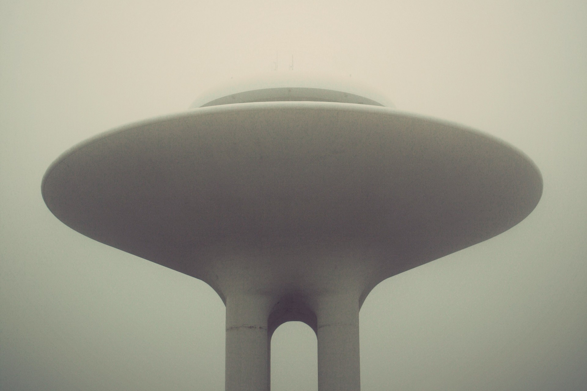 dish the object fog