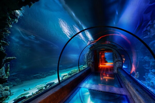 Bellissimo acquario di passaggio dell acqua